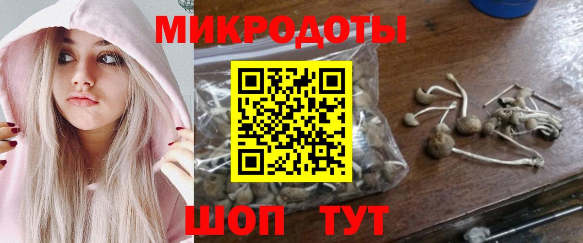 Псилоцибиновые грибы прущие грибы Южно-Сахалинск