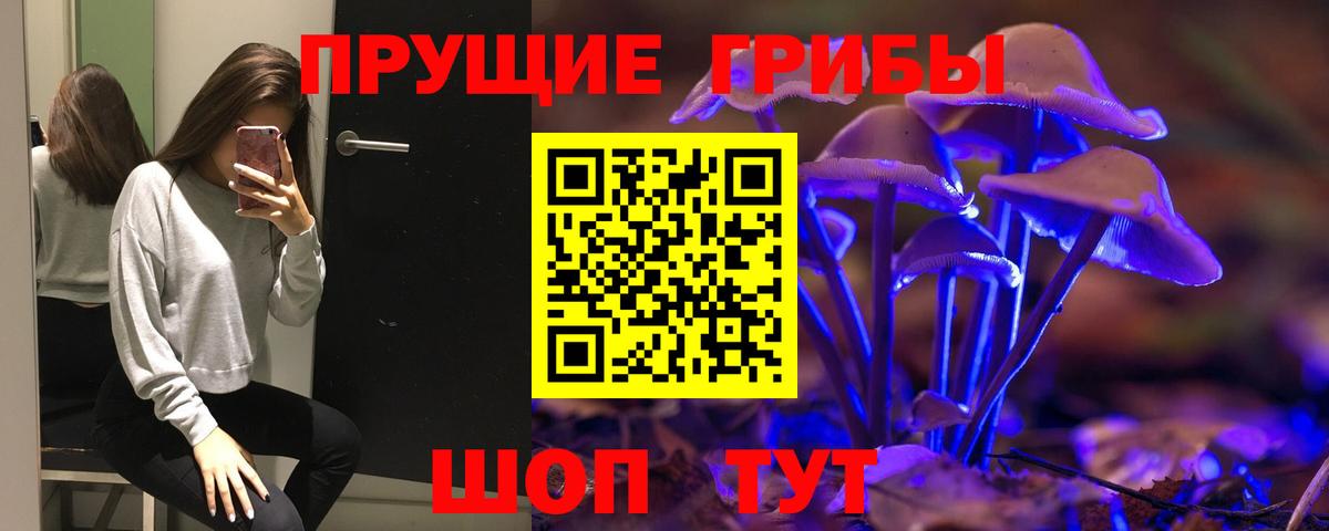 Южно-Сахалинск  Галлюциногенные грибы Psilocybine cubensis  Галлюциногенные грибы Psilocybe  Вход с VPN 